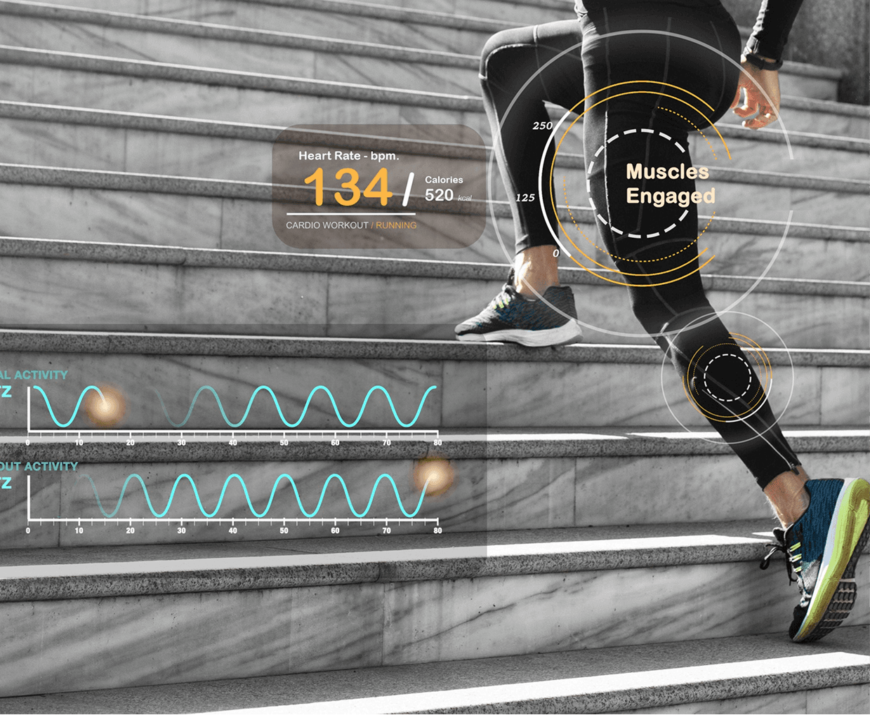 Advanced Imaging & Motion Analysis