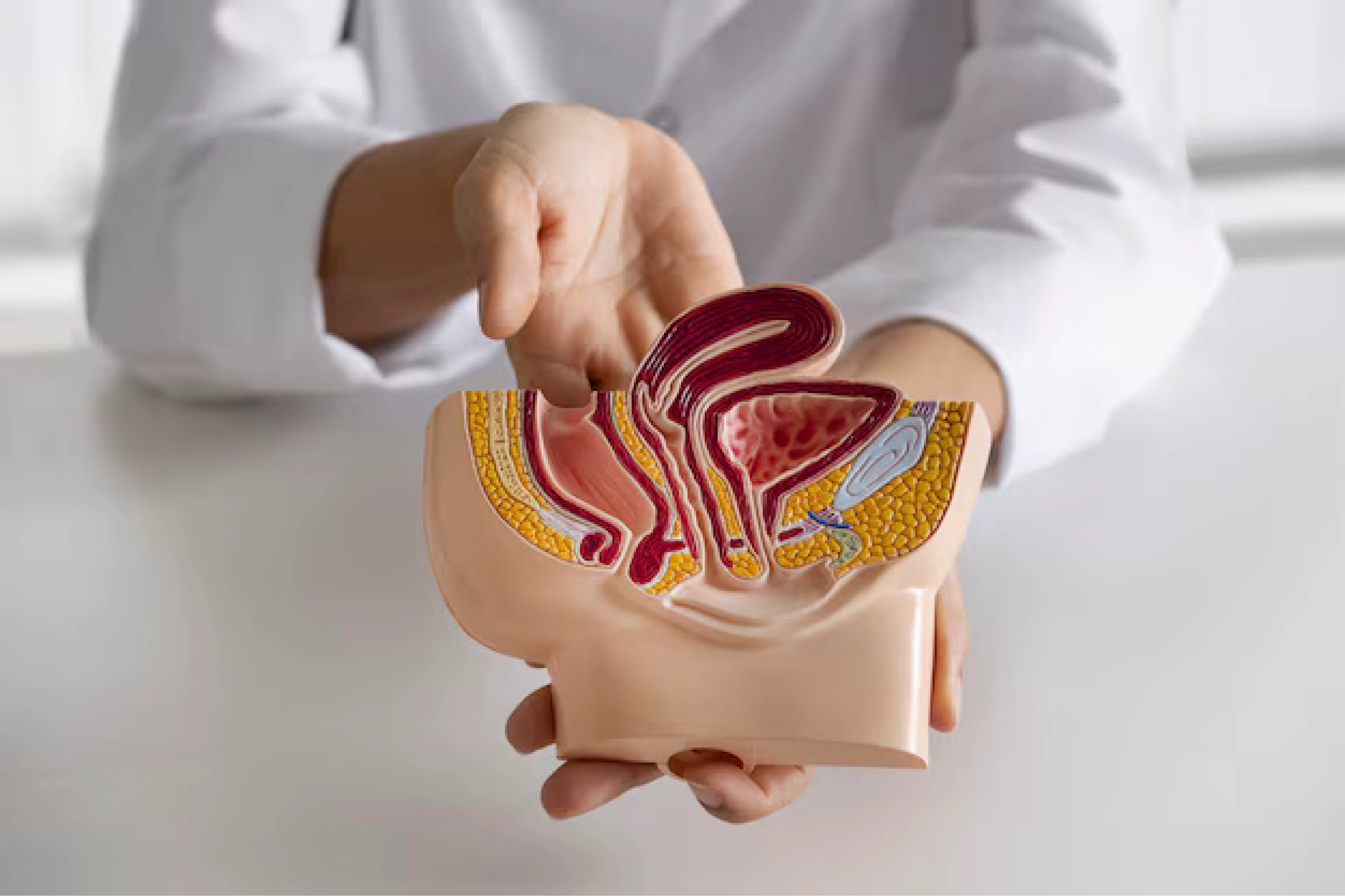 Appendectomy