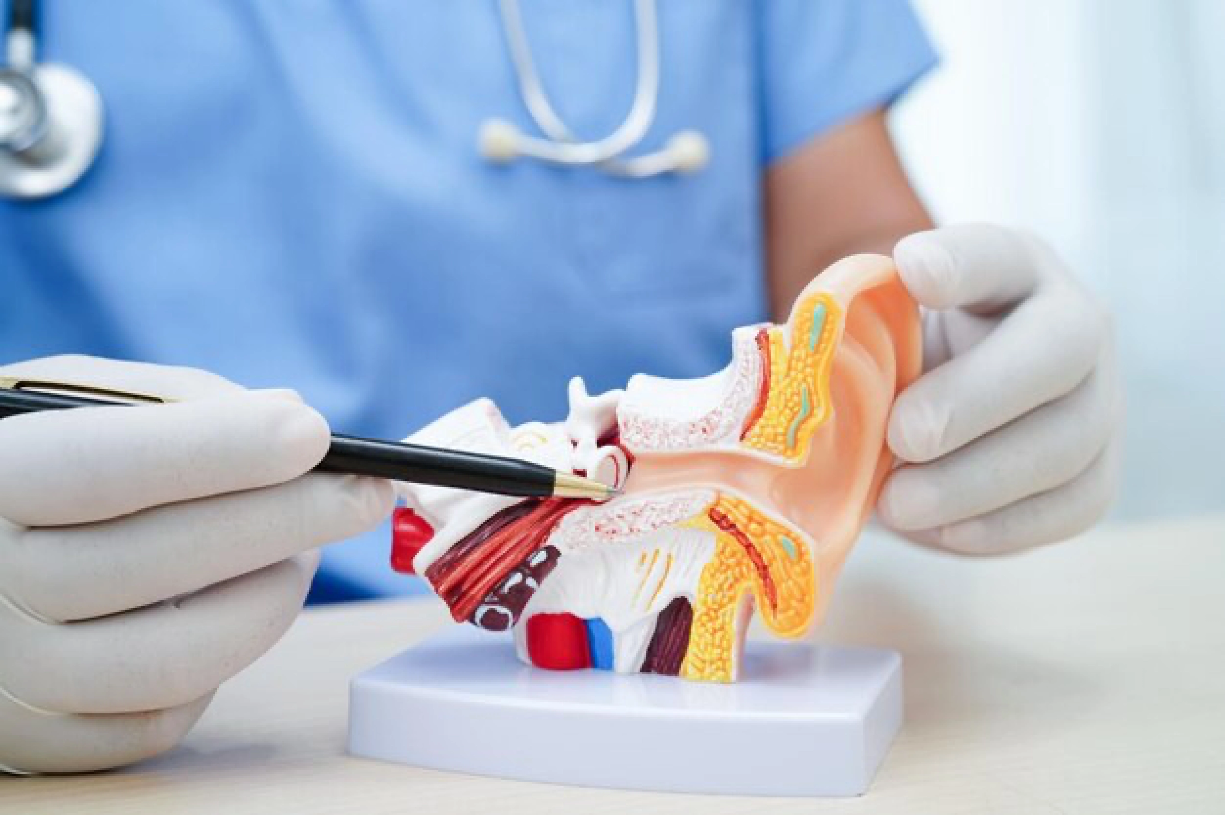 Hernia Repair