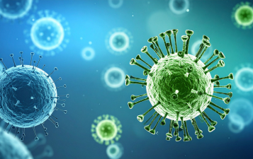 Targeted Therapy & Immunotherapy